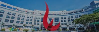 Greater Bay Area research